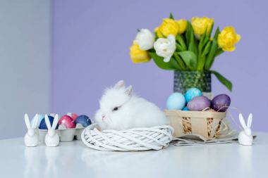 Şirin tüylü tavşan tarafından tablo Easter dekor ile boyalı yumurta