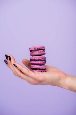 Violet izole macarons tutan kadın