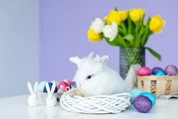 Ostern — Stockfoto