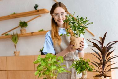 gözlük ve yeşil houseplant tutarak ve kameraya gülümseyen önlük güzel genç çiçekçi 