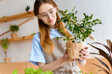 Yeşil houseplant çiçekçide tutan güzel gülümseyen genç çiçekçi