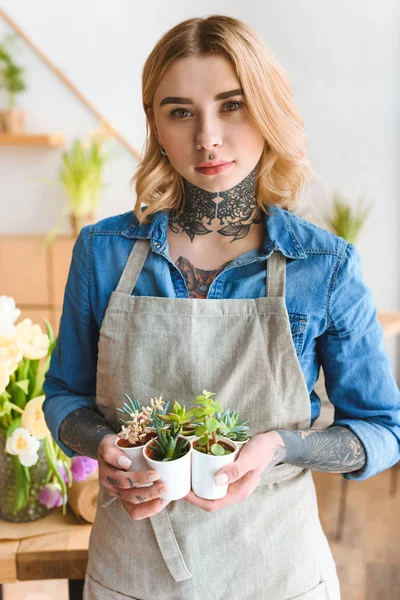 Beautiful Young Florist Holding Potted Succulents Looking Camera — Stock Photo, Image