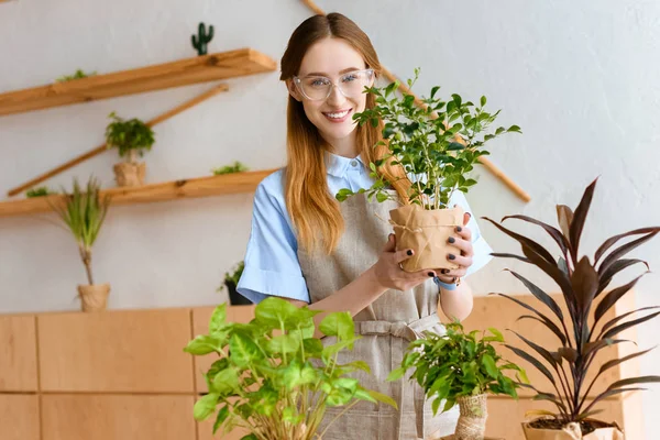 美丽的年轻花店在眼镜和围裙举行绿色盆栽和微笑在照相机 — 图库照片
