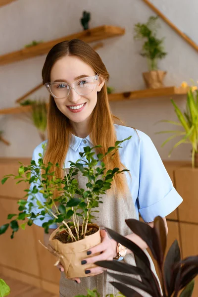 Piękne Młode Kwiaciarnia Okularach Przytrzymując Zielony Houseplant Uśmiecha Się Kamery — Zdjęcie stockowe