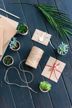 Tencere, dizüstü bilgisayarlar, palmiye yaprağı, ip ve zarflar succulents üstten görünüm üzerinde masa üstü 