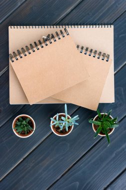 top view of notebooks with blank covers and succulents in pots on wooden table top clipart