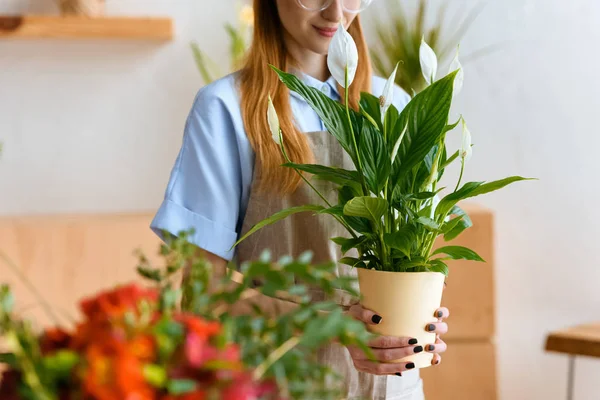 Cortado Tiro Sorrir Jovem Florista Segurando Flores Calla Potted Loja — Fotografia de Stock