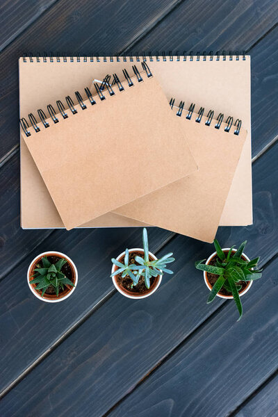 top view of notebooks with blank covers and succulents in pots on wooden table top
