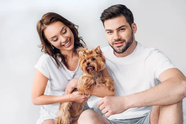 Retrato Jovem Casal Sorridente Com Yorkshire Terrier Isolado Cinza — Fotografia de Stock