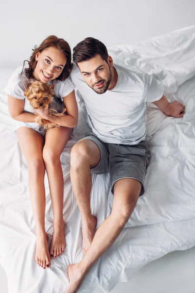 Visão Aérea Jovem Casal Apaixonado Por Yorkshire Terrier Descansando Cama — Fotografia de Stock