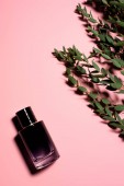 Draufsicht auf Glasflasche mit Parfüm mit grünen Zweigen auf rosa Oberfläche