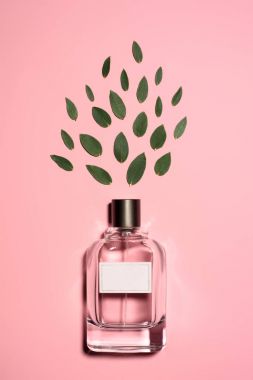 pembe yüzeyinde oluşan yeşil yaprakları ile aromatik parfüm şişe, üstten görünüm