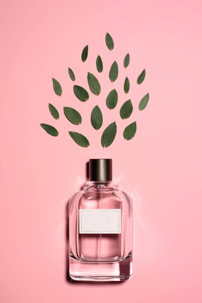 top view of bottle of aromatic perfume with composed green leaves on pink surface