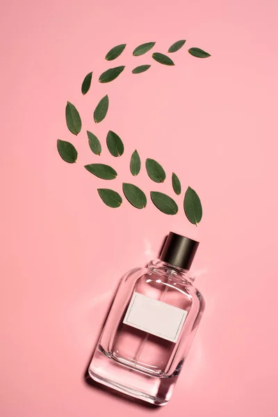 Vista Superior Garrafa Perfume Com Folhas Verdes Compostas Superfície Rosa — Fotografia de Stock