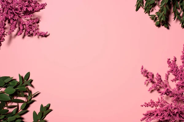 粉红色桌面上美丽的花朵和树枝的框架的顶部视图 — 图库照片