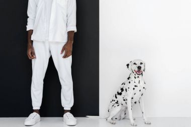 Dalmaçyalı köpeğin yanına siyah ve beyaz duvar ile Beyaz giysili şık Afro-Amerikan adamın Resim kırpılmış