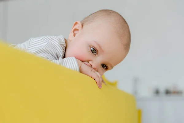 Adorable Bebé Niño Amarillo Sofá — Foto de Stock