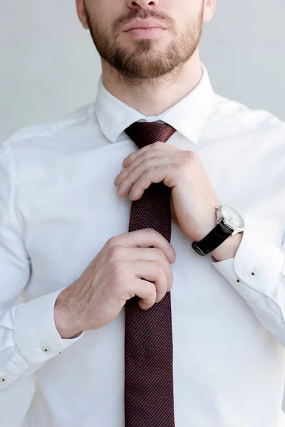 Vista Ritagliata Uomo Affari Cravatta Guardare Posa Vicino Muro Bianco — Foto stock gratuita
