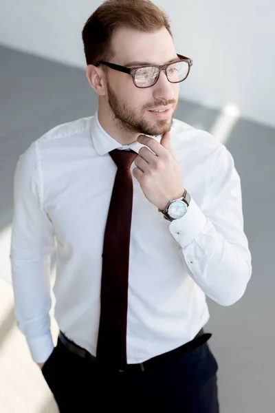 Guapo Hombre Negocios Posando Corbata Gafas —  Fotos de Stock