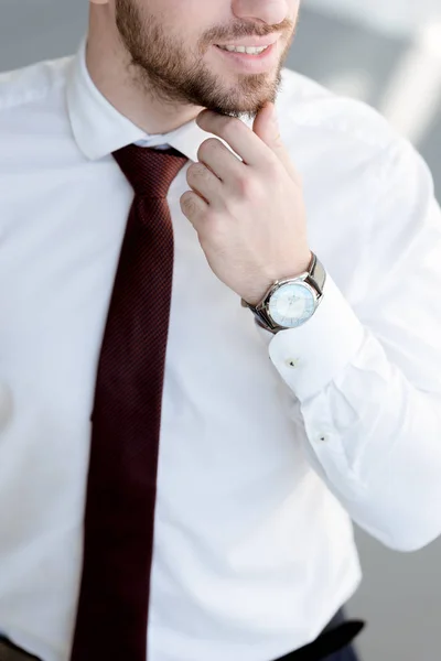 Vue Partielle Homme Affaires Cravate Montre — Photo