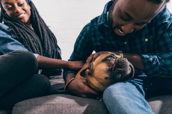 Joven Africano Americano Pareja Sentado Sofá Tocando Francés Bulldog — Foto de Stock