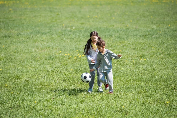 小さな子供が公園内の芝生の草原でサッカー — ストック写真