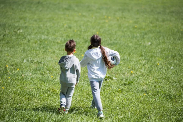 Vista Posteriore Sorella Fratello Che Camminano Con Palla Sull Erba — Foto Stock