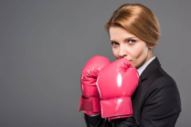 attractive businesswoman in suit and pink boxing gloves, isolated on grey clipart
