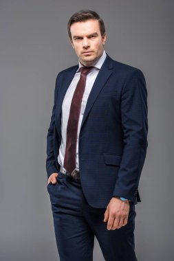 formal giyim gri izole, poz yakışıklı ciddi iş adamı 