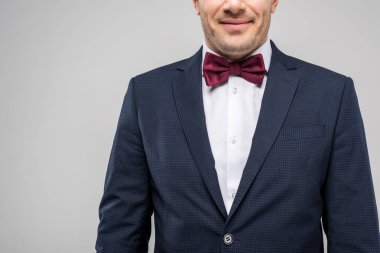 cropped view of man in tuxedo and bow tie, isolated on grey clipart