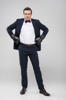 handsome groom posing in tuxedo and boxing gloves, isolated on grey clipart