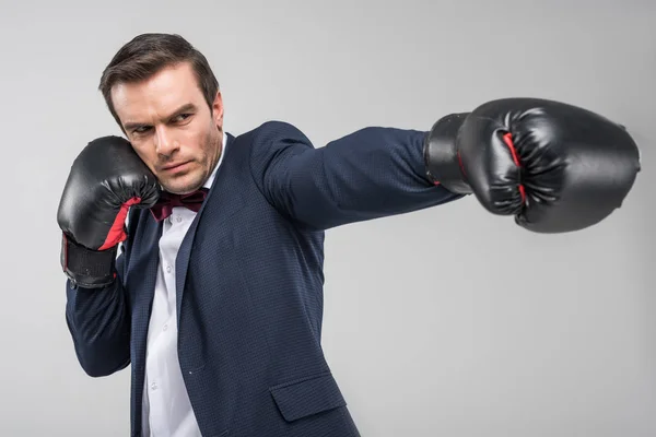 Handsome Man Suit Bow Tie Wearing Boxing Gloves Isolated Grey — Stock Photo, Image