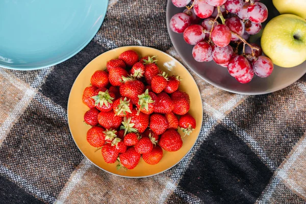 Frutta diversa per picnic sul tappeto — Foto stock