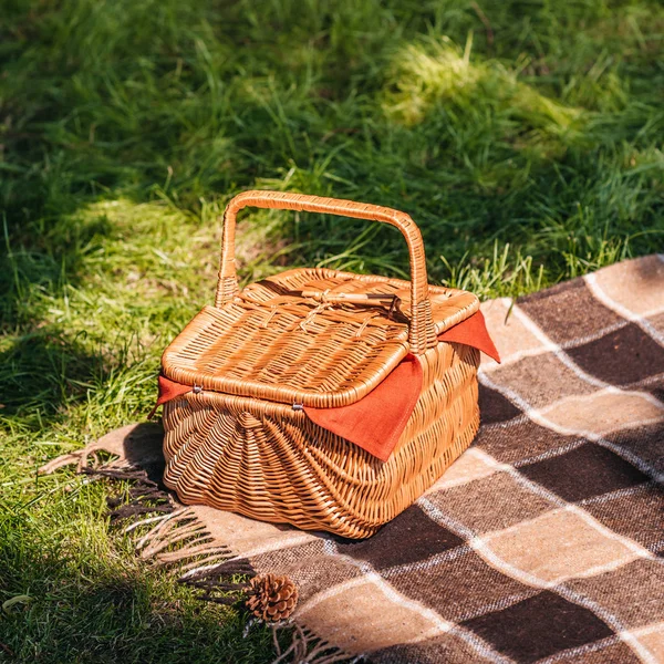 Cesta de picnic en la hierba - foto de stock