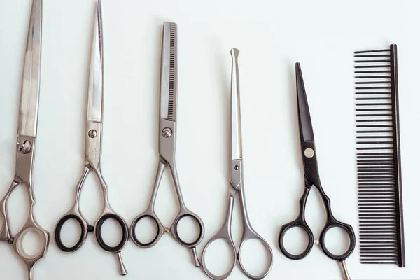 Conjunto de ferramentas groomer — Fotografia de Stock