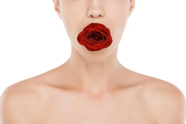 Woman with red rose — Stock Photo