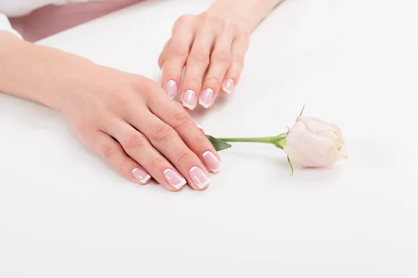 Mani femminili con fiore — Foto stock