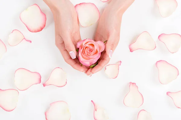 Mains féminines avec fleur — Photo de stock