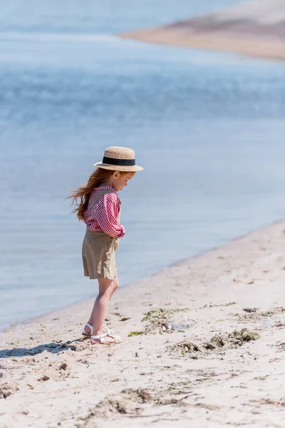 Seashore — Stock Photo