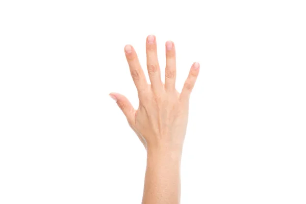 Hand — Stock Photo