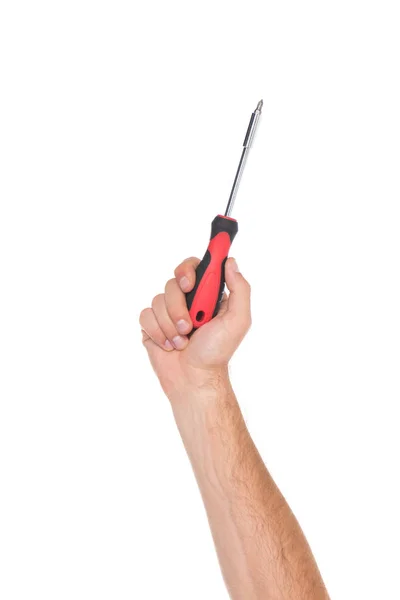 Screwdriver — Stock Photo
