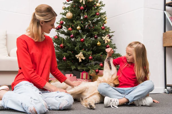 Mom, daughter and dog at christmastime — Stock Photo