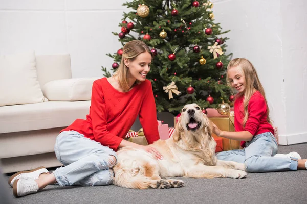 Familia con perro en árbol de Navidad - foto de stock