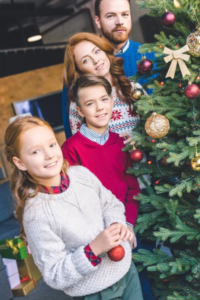 Décoration de famille arbre de Noël — Photo de stock
