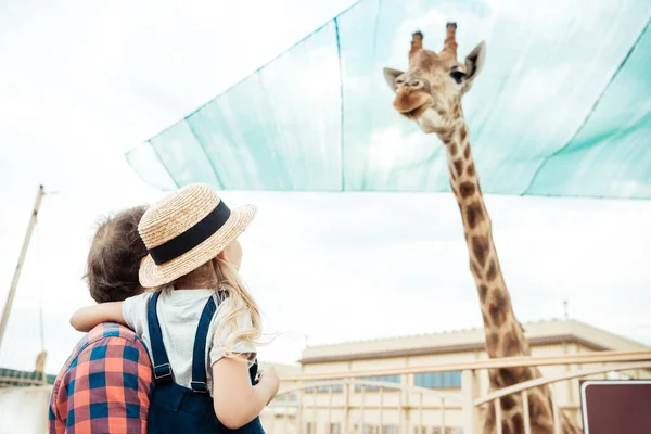 Familia mirando jirafa en zoológico - foto de stock