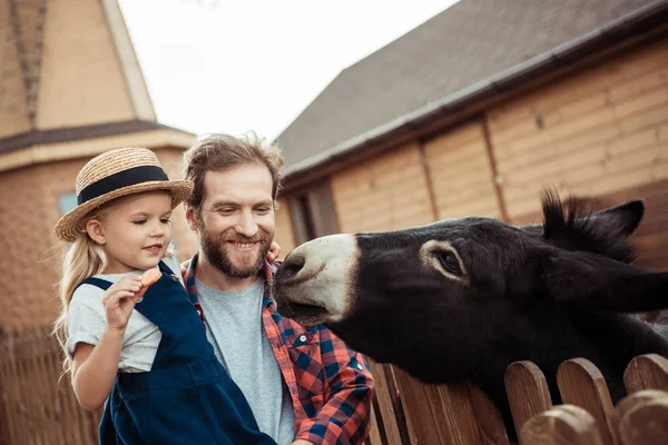 Family feeding donkey in zoo — Stock Photo