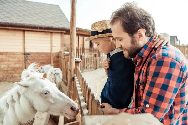 Familia mirando pony en zoológico - foto de stock
