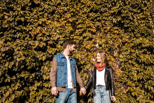 Couple holding hands in autumn park — Stock Photo