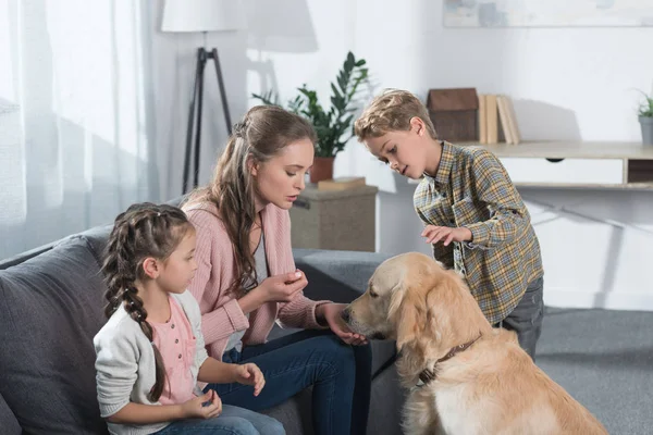 Madre e hijos jugando con el perro - foto de stock