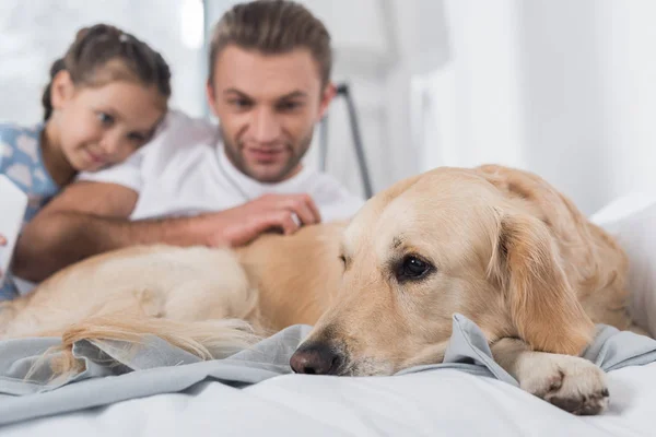 Father and daughter looking at dog — Stock Photo